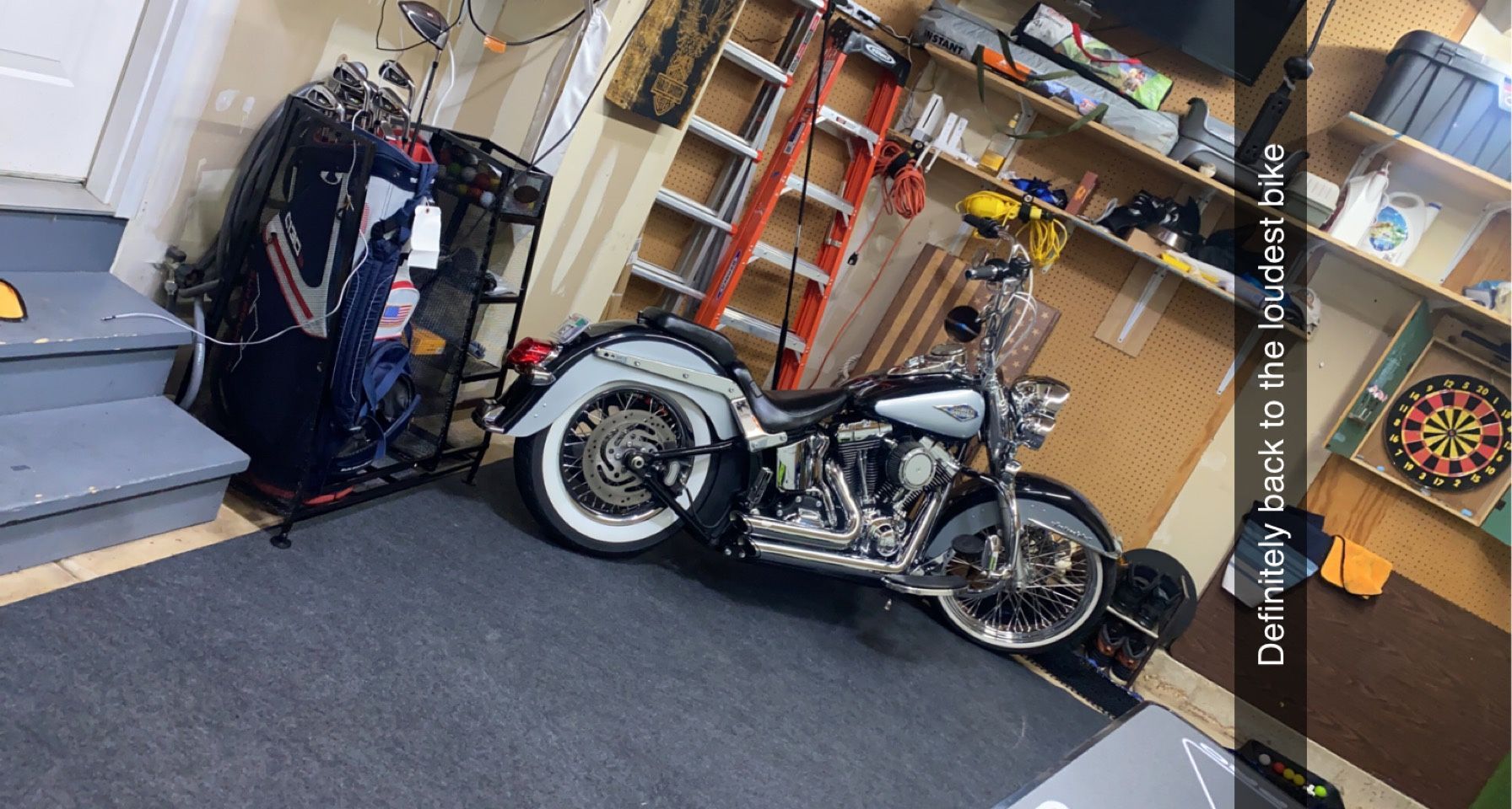 Harley Davidson softail