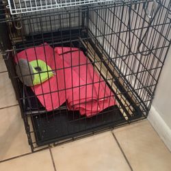 Jaula de perro 🐕 