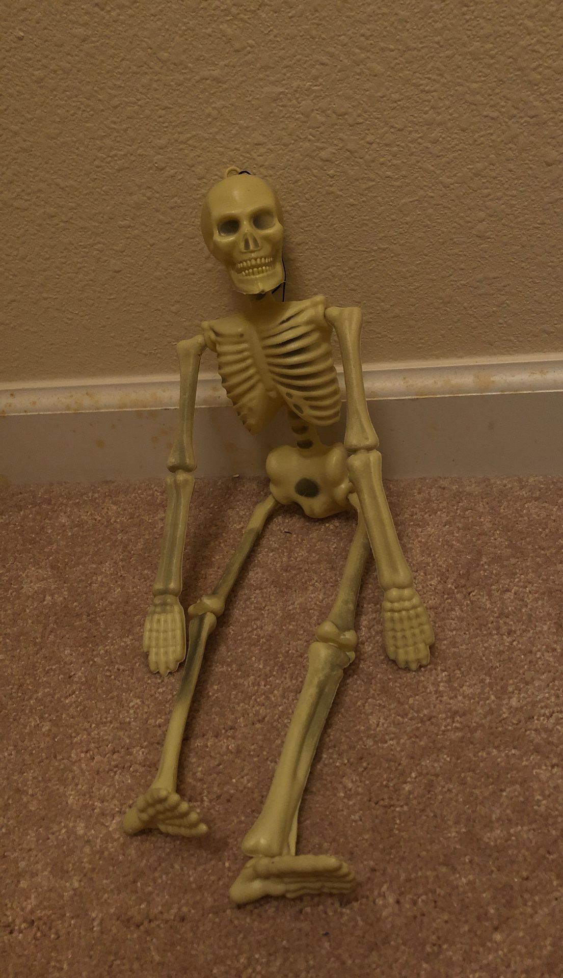 Halloween decoration skeleton