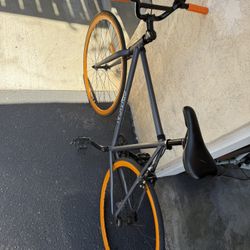 Critical Single Speed Bike 