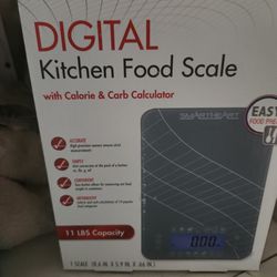 Digital Kitchen Food Scale