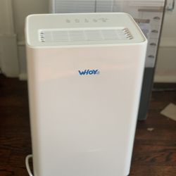 Whoy 30 Pint Dehumidifier