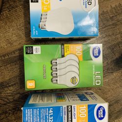 Bulbs 100W-Quantity 11