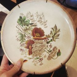 Antique English Poppy Flower Plate 