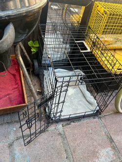 Animal cage cat  or small dog