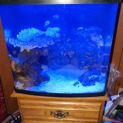 Biocube And All Coral Shoot Me An Offer