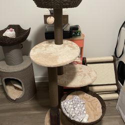 Cat Tree