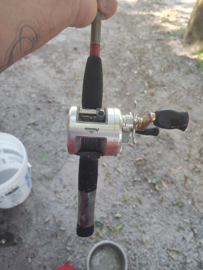 Fishing Reels