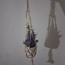 Hanging plant
