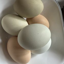 1 dz fresh eggs