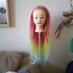 Salon Practice Manniquin Head