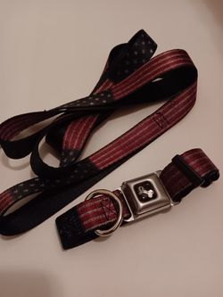 ***NEW PATRIOTIC LEASH & COLLAR SET***