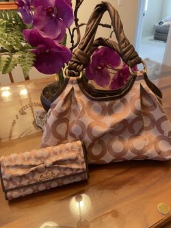 Coach Handbag And Wallet