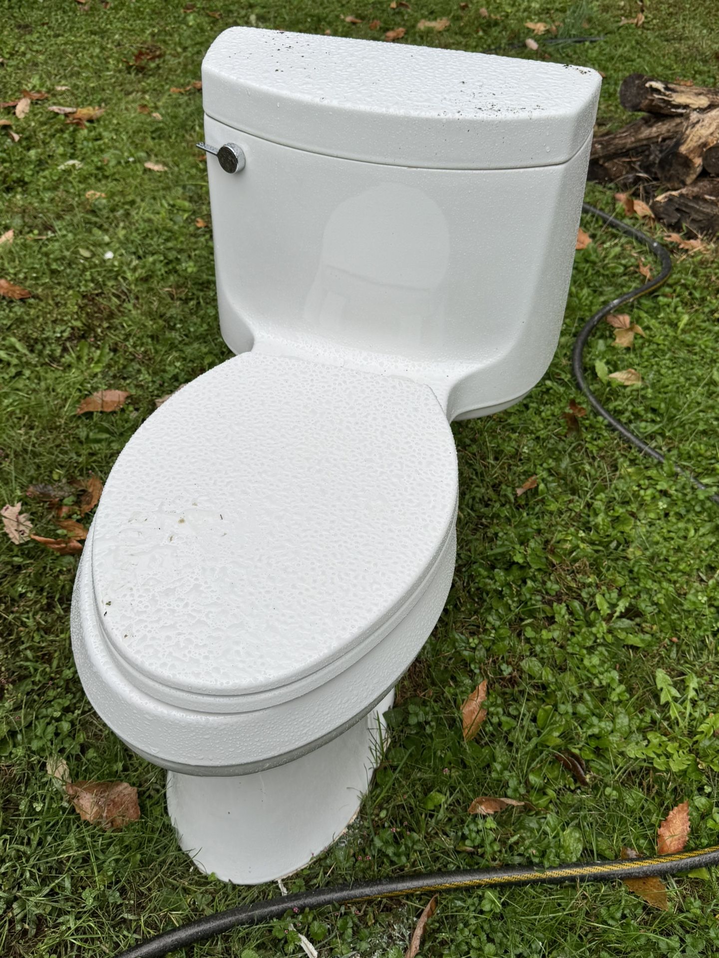 Kohler Toilet and 30” vanity sink with faucet - Free