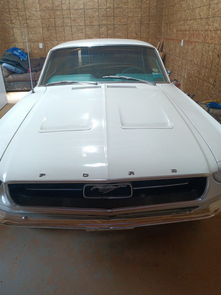 1967 Ford Mustang