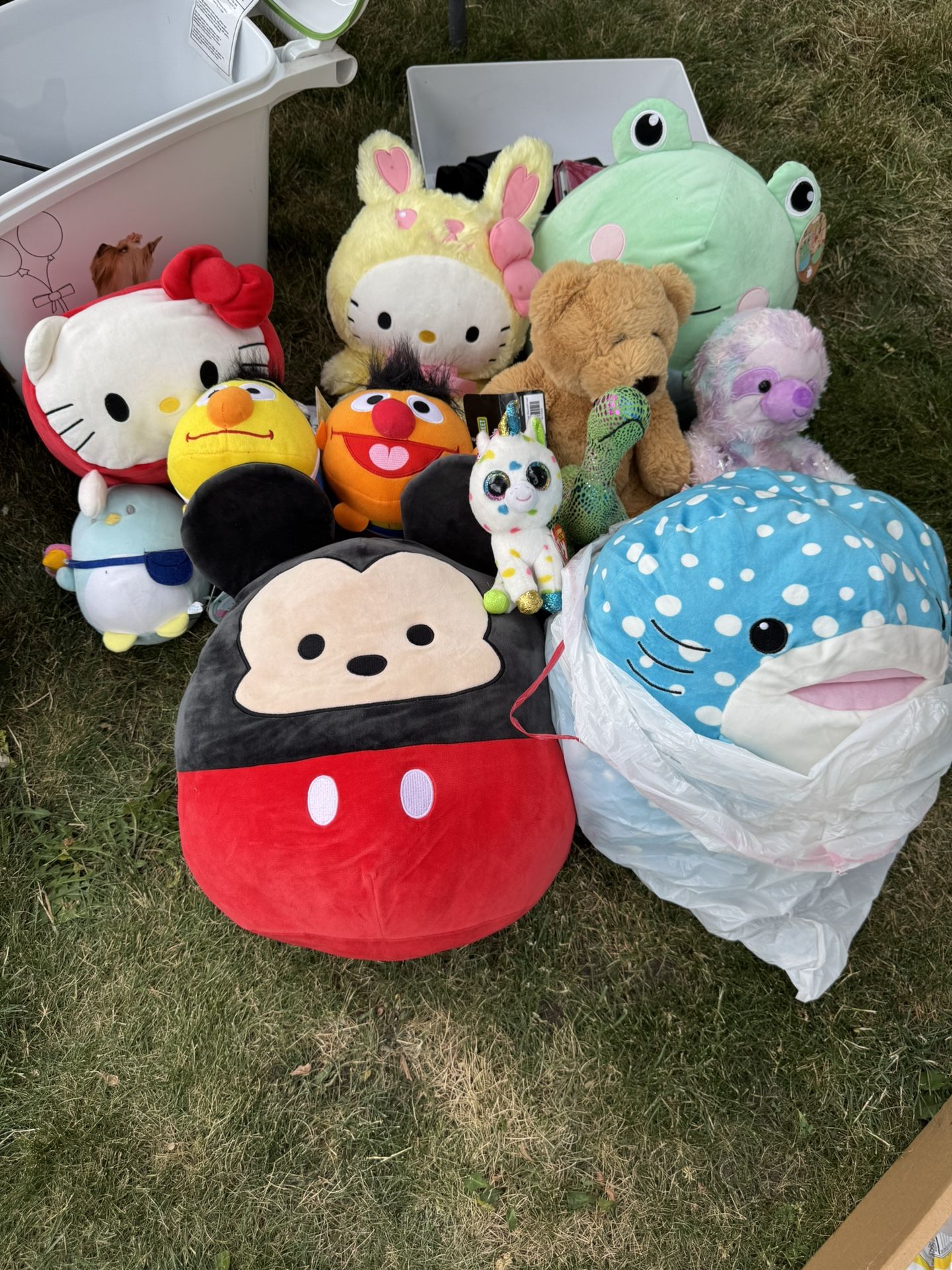Bundle Plush Deal ๐ธ