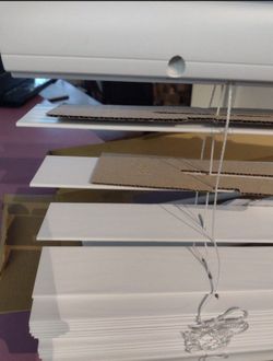 Window Blinds In White 