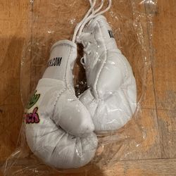 Kushy Punch mini Boxing Gloves 