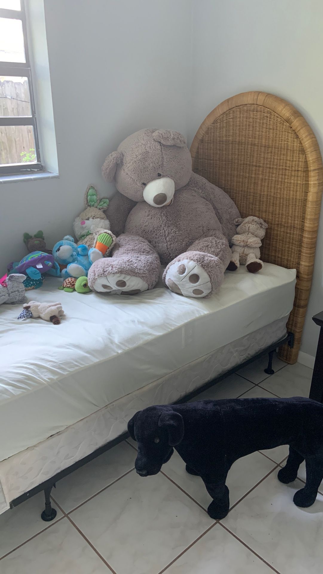 Teddy bear and assorted stuffed animals