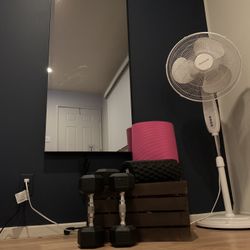 Workout Mirror 