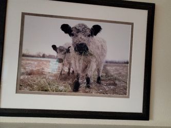 Framed Cow Art Animal Farm