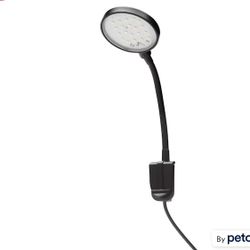 Clip On LED Light