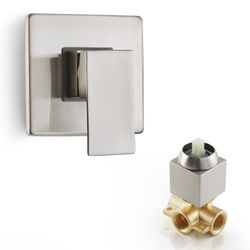 Shower Handle w/ Valve