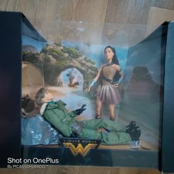 Wonder -Women Collector Barbie Dolls