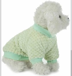 Green Dog Sweater Size Small ✨new