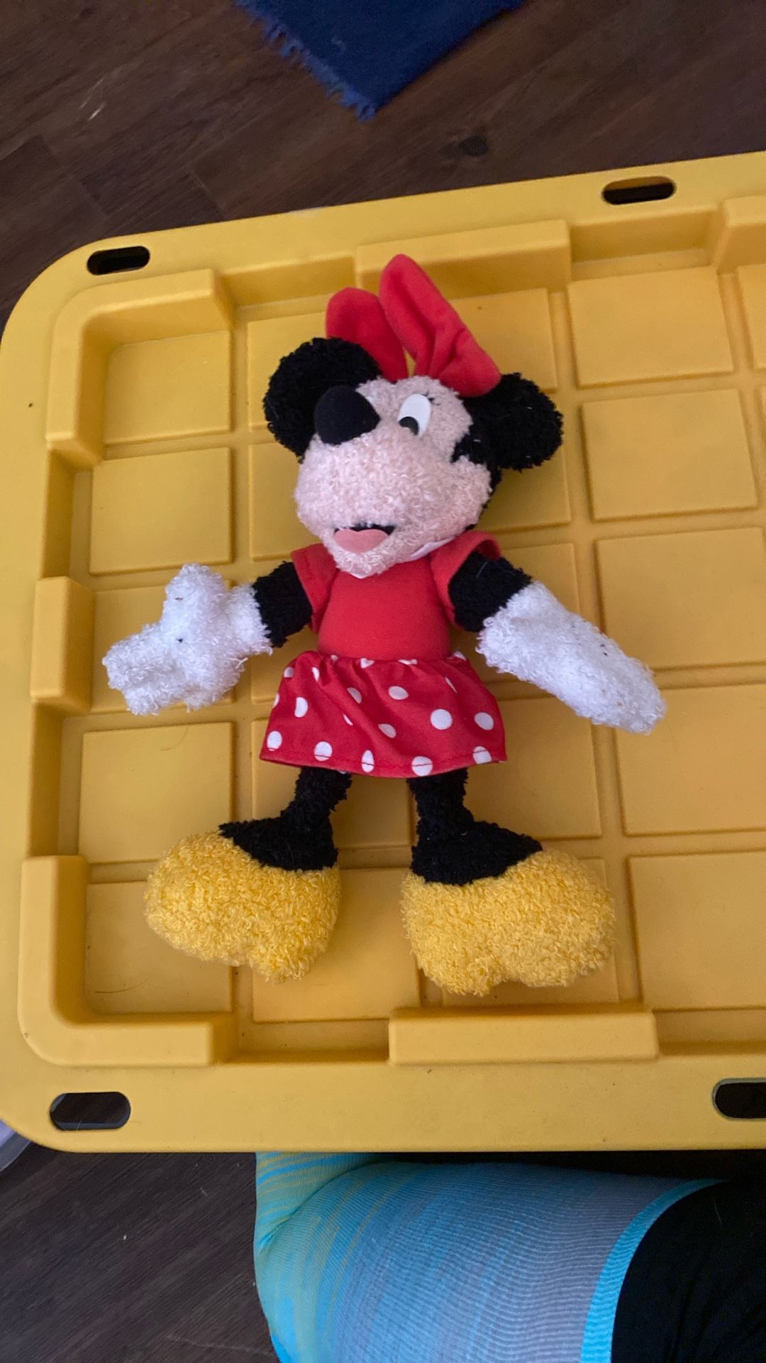 New Minnie By Applause