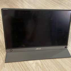 ASUS Portable Screen (touchscreen)