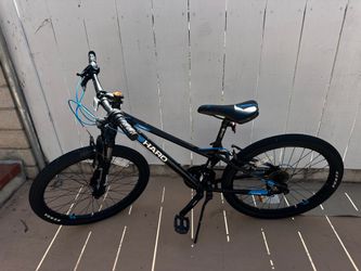 Adult bike