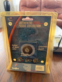 Vintage Edu Science Authentic Fossil Collection – 6 Real Fossils – Toys R Us