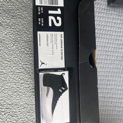 Jordan 12 Playoff DS