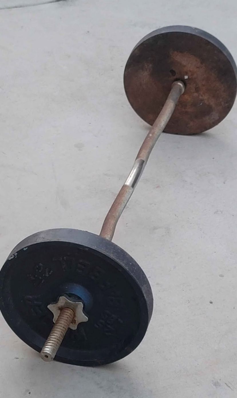 Curl Bar