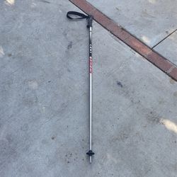 Lexi Ski Pole