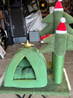 ADORABLE KITTY BED AND SCRATCHING POSTS