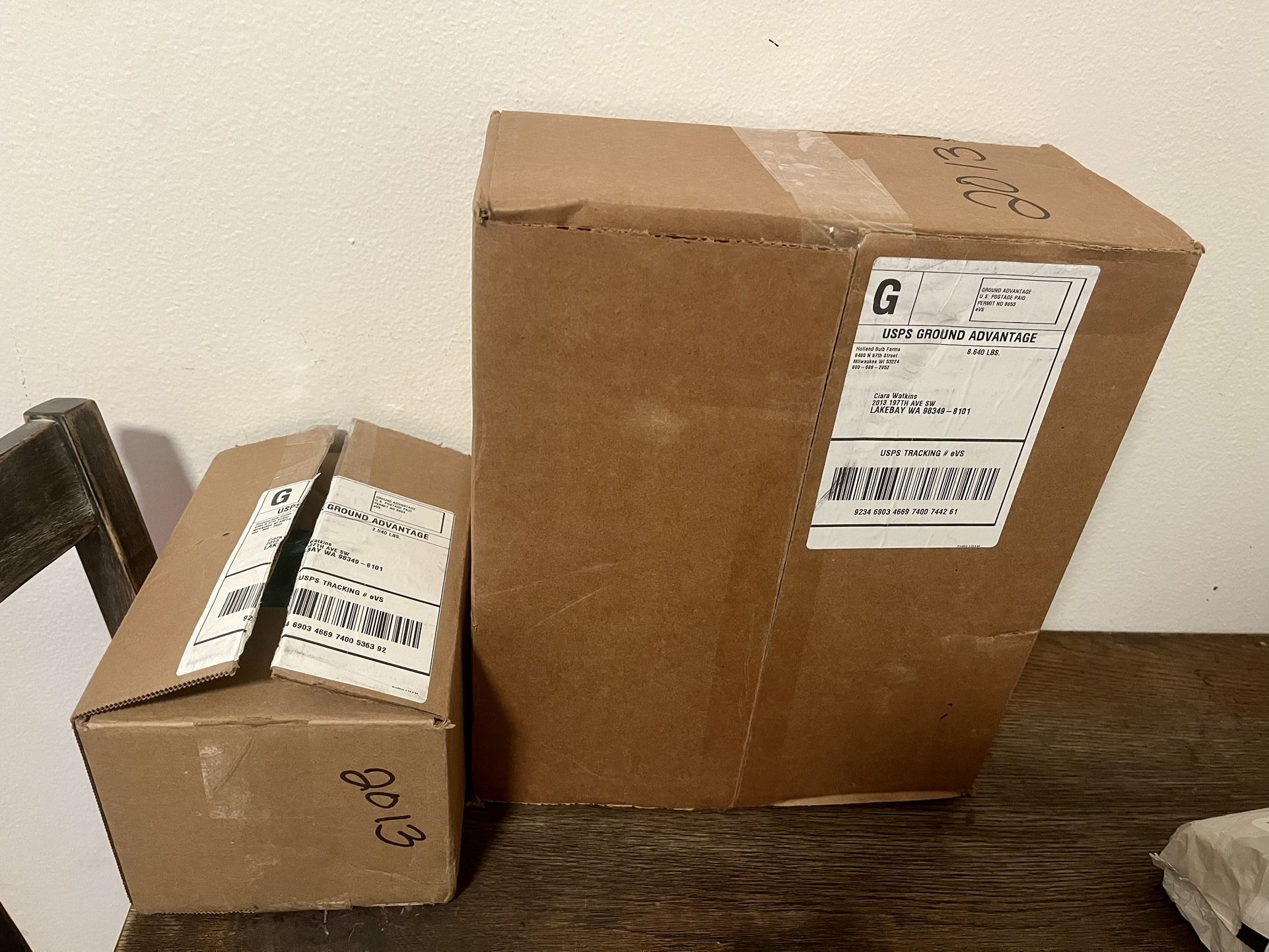 * Bulk Flower Bulbs * Perennials * for Sale in Home, WA OfferUp