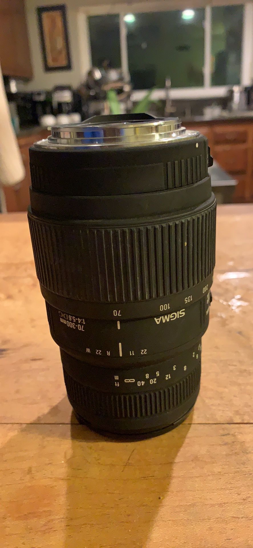 Canon Sigma 70-300mm 1:4-5.6 DG Lens