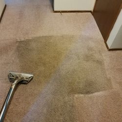 Steam Carpet Shampoo