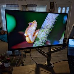 4K LG Monitor + 3M Dual Monitor Mount. 