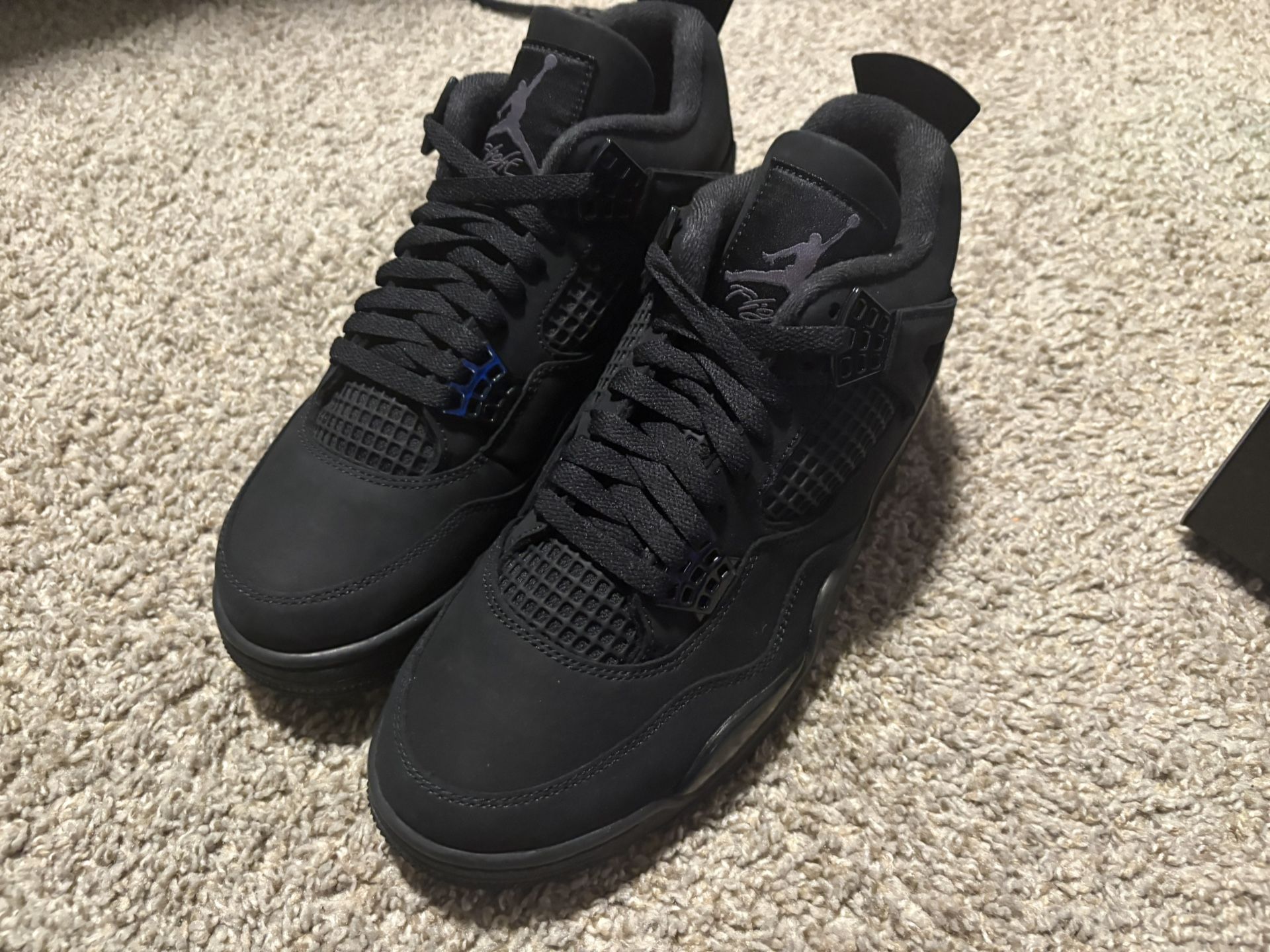 Jordan 4s Black Cats “2025”
