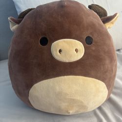 Squishmallows, plushies