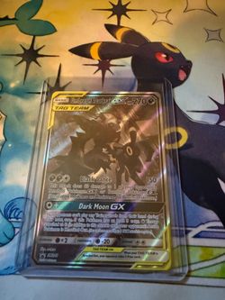 Pokemon tag team promo