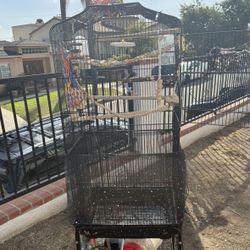 Bird Cage For Sale
