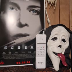 SCREAM 7/SCARY MOVIE 6