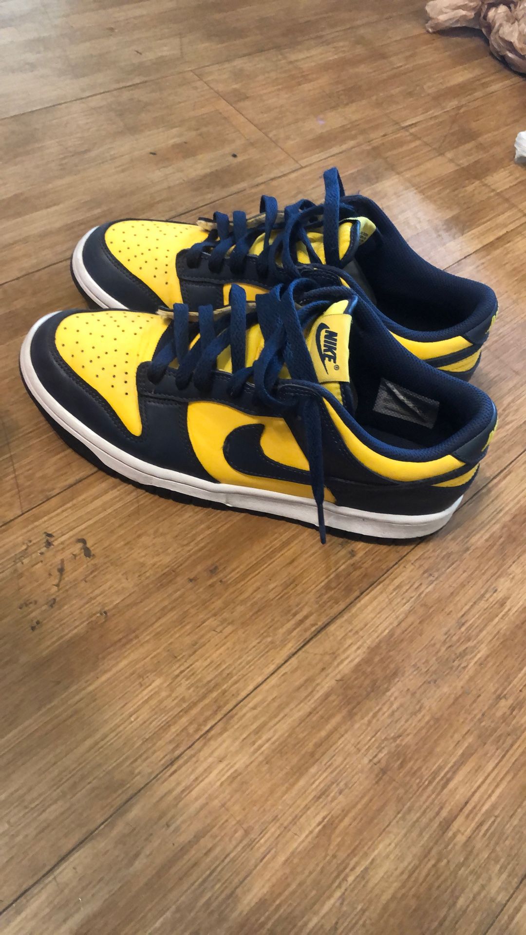 Nike Dunk Michigan