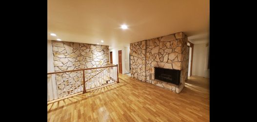 Fireplace wall stone and stairs wall stone, its going down. $100