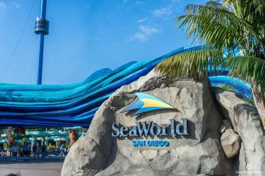 Sea World day passes