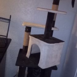 Cat Tree